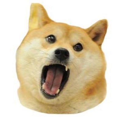 the SHIB killer; the first meme token on its rightful home on #Dogechain.