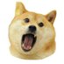 OMNOM (@omnomtoken) Twitter profile photo OMNOM (@omnomtoken) Twitter profile photo