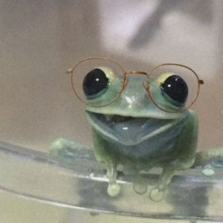 milagrosabbate's profile picture. 