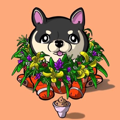 proponent of the open web, loyal teammate and creator. @poi_pup