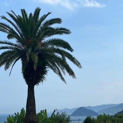 _miyagy's profile picture. 