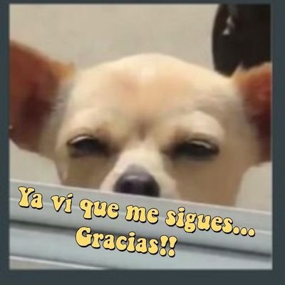 Soy crítico de la política… solamente de la pésima.
No estoy con Trump pero tampoco con este NarcoGobierno.