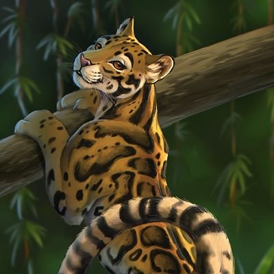 SophiaCloudedL's profile picture. Hello im Sophia I'm a female clouded leopard I'm one of the few that still remain hunted for our fur. Mate:@TLGBahatiLiones
