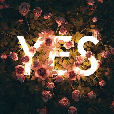 _Bacous's profile picture. ʂʈʀᥑᥰɠɐɹ ʈɦᥲໞ ꤾᥝᝨᥔʁ