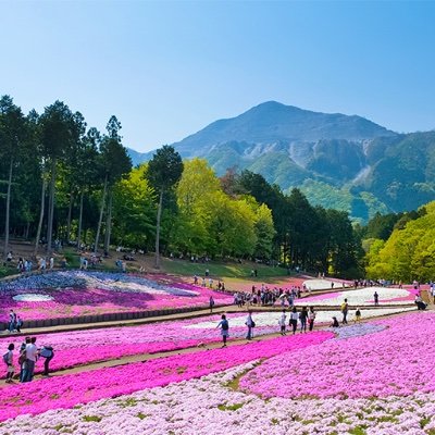 中受→UT（院迄）JTC管理職。TOEIC900程度。長女2017,と長男2021の二人育て中。英語早期教育、海外大学含めた進路のための情報収集、知育、その他諸々。エデュ（海外を見据えた子育てのスレ主）https://t.co/Gc8HVTwWs3