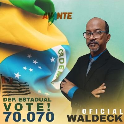 Patriota, Oficial de Justiça há 27 anos, Candidato a Deputado Estadual(SP) e contra a indicação Politica para o preenchimento dos cargos de Ministro do STF.