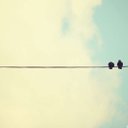 Iona WATTS - @razalipfh - Twitter