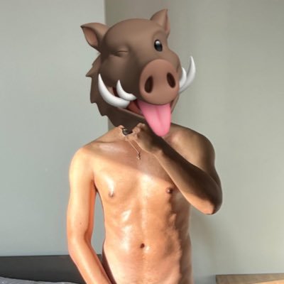 papissobo's profile picture. พี่โซโบคือแมว