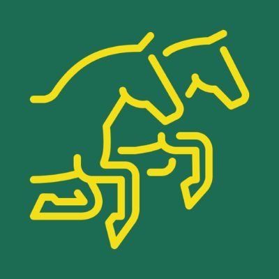 https://t.co/cHuAbyVNia
🏇🏼Horse racing stats & race data modelling. An online members club providing exclusive access to professional horse racing tips