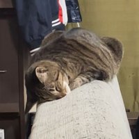 バックミラー (@back_mirror_1b) 's Twitter Profile