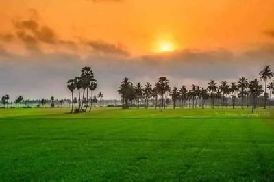 ARPAN62584105's profile picture. I love environment and save its
letest News every day

अधिक जानकारी के लिए फॉलो करे