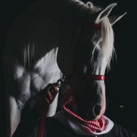 𝐌𝐆 (@v_i_p2) 's Twitter Profile