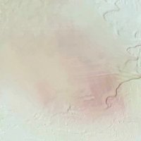 くぬこ (@mitsuamischema) 's Twitter Profile Photo