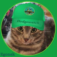 Egonek (@gosia_szczepani) 's Twitter Profile Photo Egonek (@gosia_szczepani) 's Twitter Profile Photo
