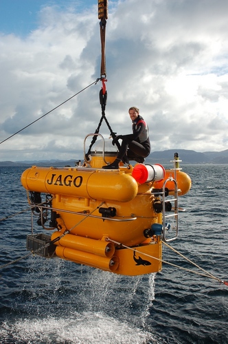 Marine Geoscientist and Reader @EdinburghUni exploring pollution and climate change impacts on tropical and deep sea corals