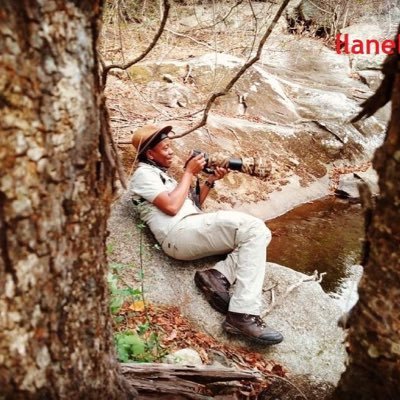 ⭐MSc(Nelson Mandela University) ⭐Ecologist /Avifaunal Specialist ⭐Rehabilitation ⭐Employee: @MORA_Ecology ⭐Retweets are not endorsements