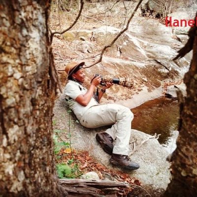 ⭐MSc(Nelson Mandela University)
⭐Ecologist /Avifaunal Specialist
⭐Rehabilitation
⭐Director: @MORA_Ecology
⭐Retweets are not endorsements