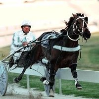 Simon Sharp (@sharpman87) 's Twitter Profile