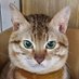 Mr_En☆ (@mren00396749) Twitter profile photo Mr_En☆ (@mren00396749) Twitter profile photo