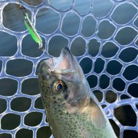 kh84 (@kh804622) Twitter profile photo