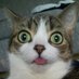 Noppranin Rujipornnitiphat (@noppranin) Twitter profile photo Noppranin Rujipornnitiphat (@noppranin) Twitter profile photo
