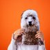Lo-Fi Llama (@lofillamaguy) Twitter profile photo Lo-Fi Llama (@lofillamaguy) Twitter profile photo