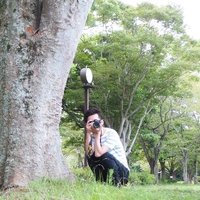 ぴーなっつ (@peanut_dp0) 's Twitter Profile