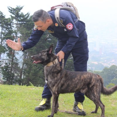 carlosk9gomez's profile picture. Zootecnista UdeA, Teniente y Subcomandante Bomberos Sabaneta, Coordinador K9 Bomberos Colombia