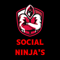 The Social Ninja(@_Social_Ninjas) 's Twitter Profileg