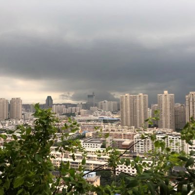 pngzi14's profile picture. 