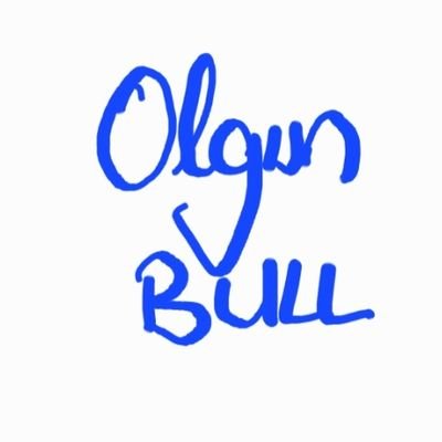 Olgun_bull20