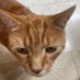 Kat (@whitemummybear) Twitter profile photo Kat (@whitemummybear) Twitter profile photo