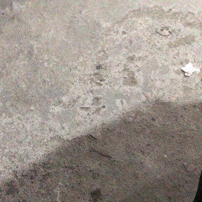 rehan_saput's profile picture. 