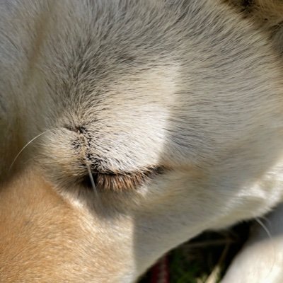 8juin_'s profile picture. 