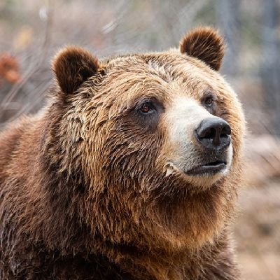 JanitorsHere's profile picture. Small VA and VI || https://t.co/dAe6fCXVVp ||
20 || Pansexual