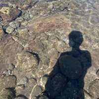 直薫 (@nao1210619) 's Twitter Profile