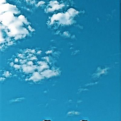 lennslii13's profile picture. Hi Im new and i like roblox