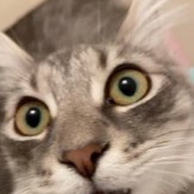 Karimdwcsdcsc's profile picture. 