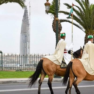 EL_idrisii's profile picture. 