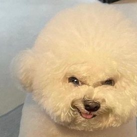 nocoさんのプロフィール画像