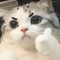 c (@kuoi09) 's Twitter Profile