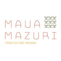 Maua Mazuri(@mauamazuri_tz) 's Twitter Profile Photo
