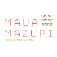Maua Mazuri (@mauamazuri_tz) 's Twitter Profile