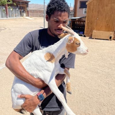 DaedraJai's profile picture. Just have fun, stay safe Safe sex, safe drugs And uh, have fun, that's it