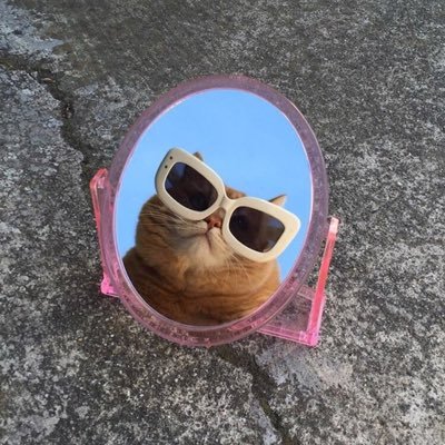 luvm_hikari's profile picture. おなかすいた