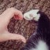 Natacat400 (@natacha88349963) Twitter profile photo Natacat400 (@natacha88349963) Twitter profile photo