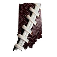 The Gridiron Digest (@gridirondigest) 's Twitter Profile