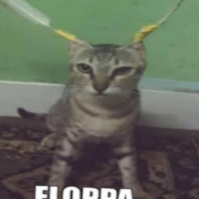 bonbonaward's profile picture. this acts as my  personal Diary to the world .