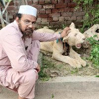Irfan Khan (@kh02440784khan) 's Twitter Profile Photo Irfan Khan (@kh02440784khan) 's Twitter Profile Photo