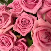 꽃 (@saileeyj) Twitter profile photo